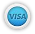Payment Logo Visa